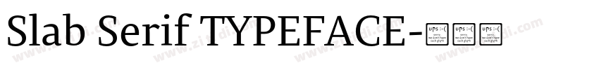 Slab Serif TYPEFACE字体转换 Slab Serif TYPEFACE字体转换